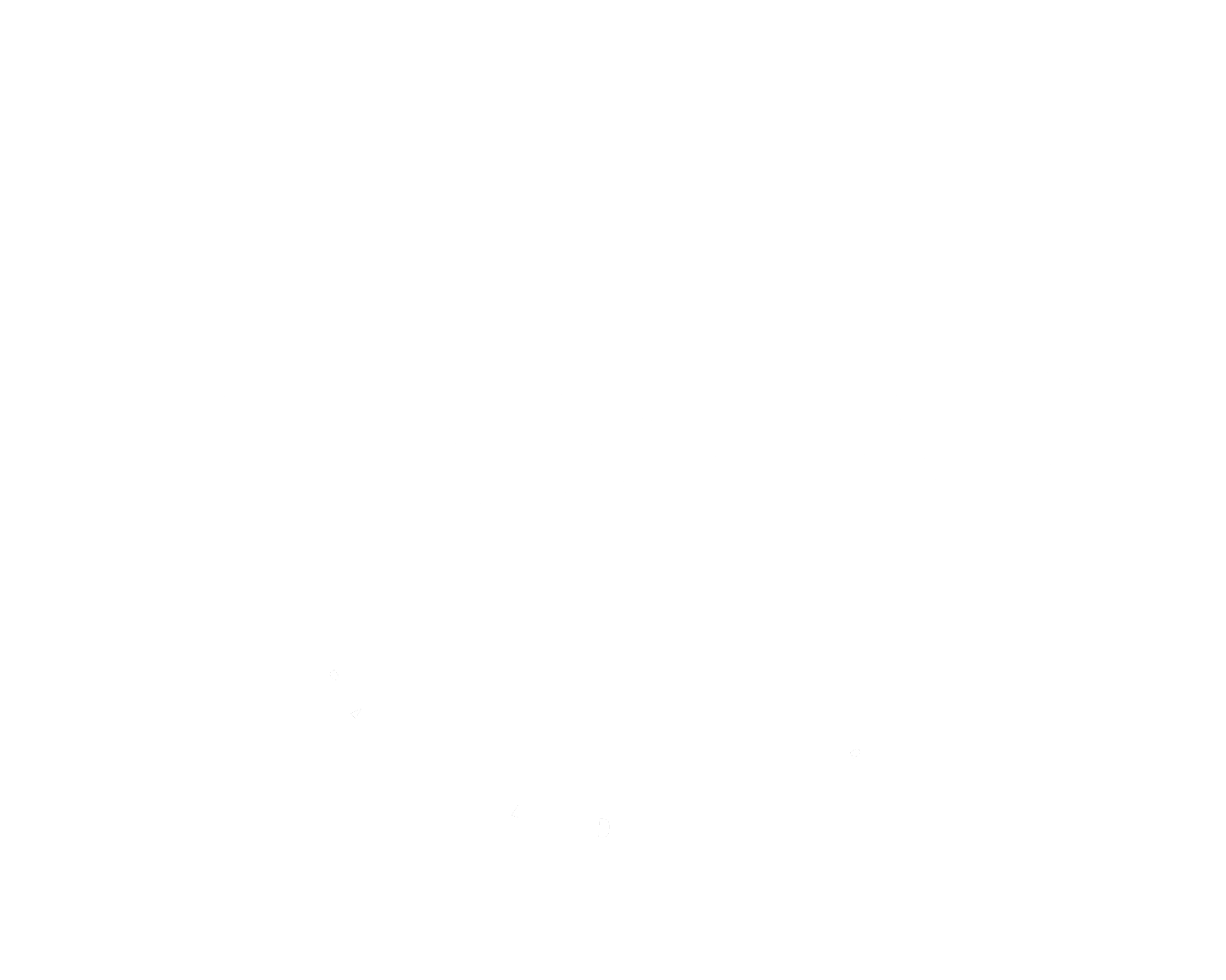 logo_naspo