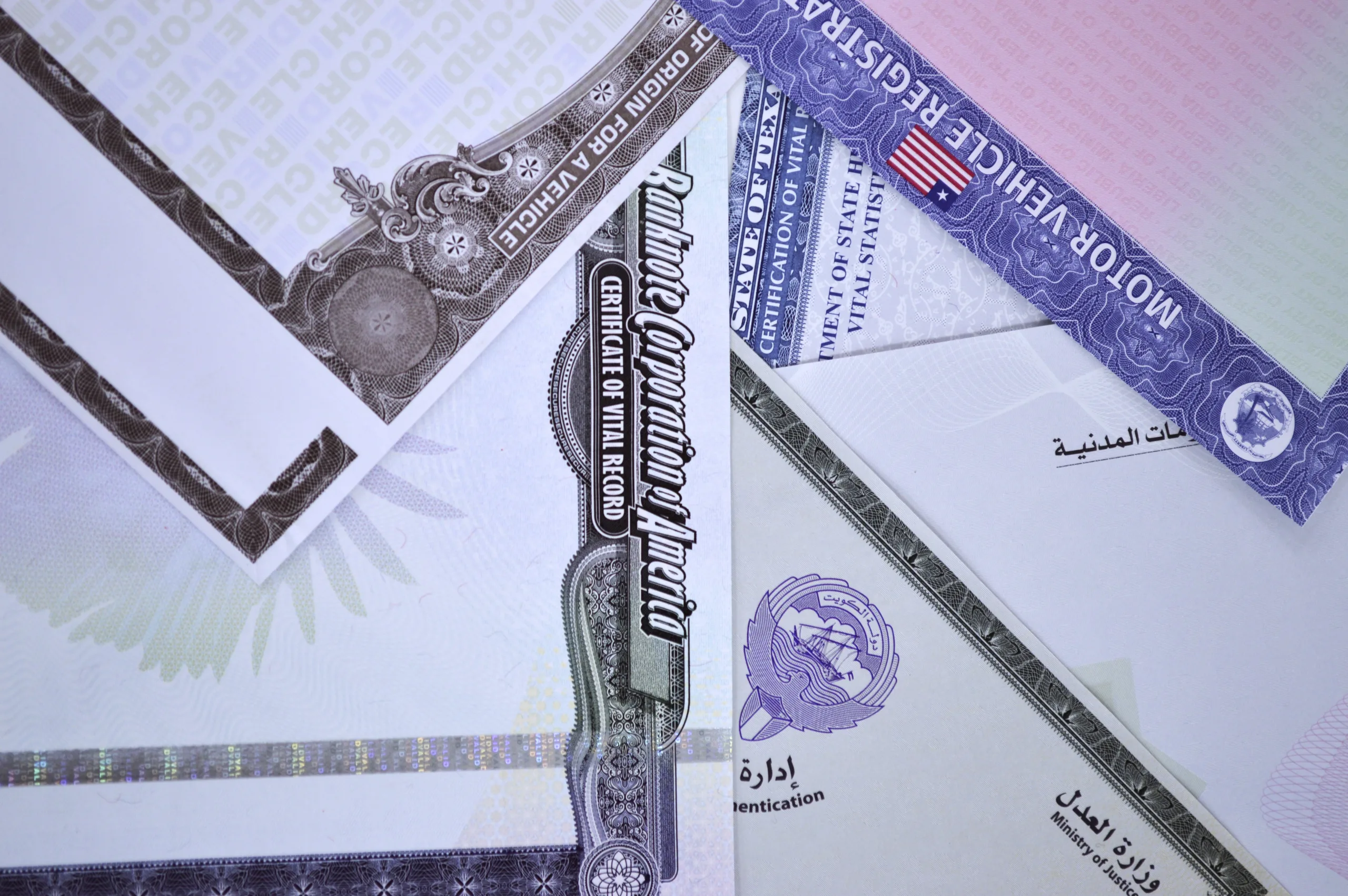 6f865f5f-9ad8-499a-a0ea-025eaabac1ea